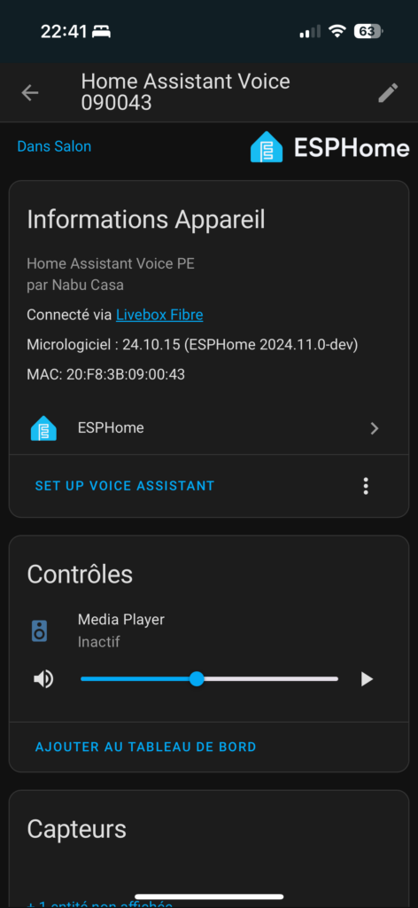 Home Assistant Voice paramètres